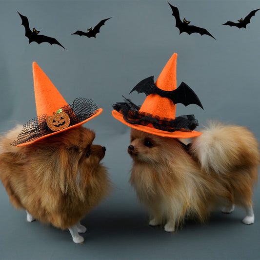 Halloween Hat For Pets