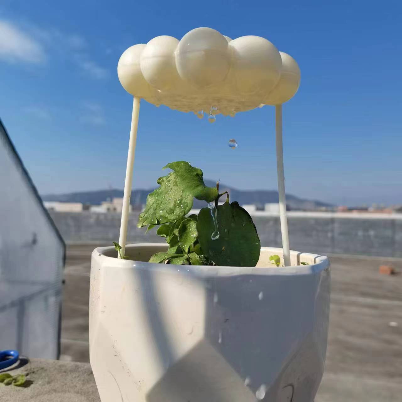 Raining Cloud Irrigator